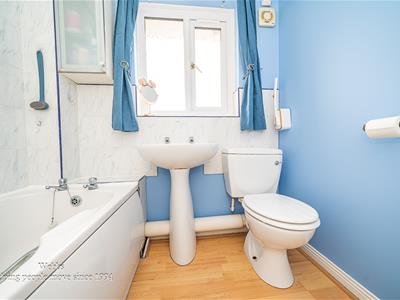Picture 17